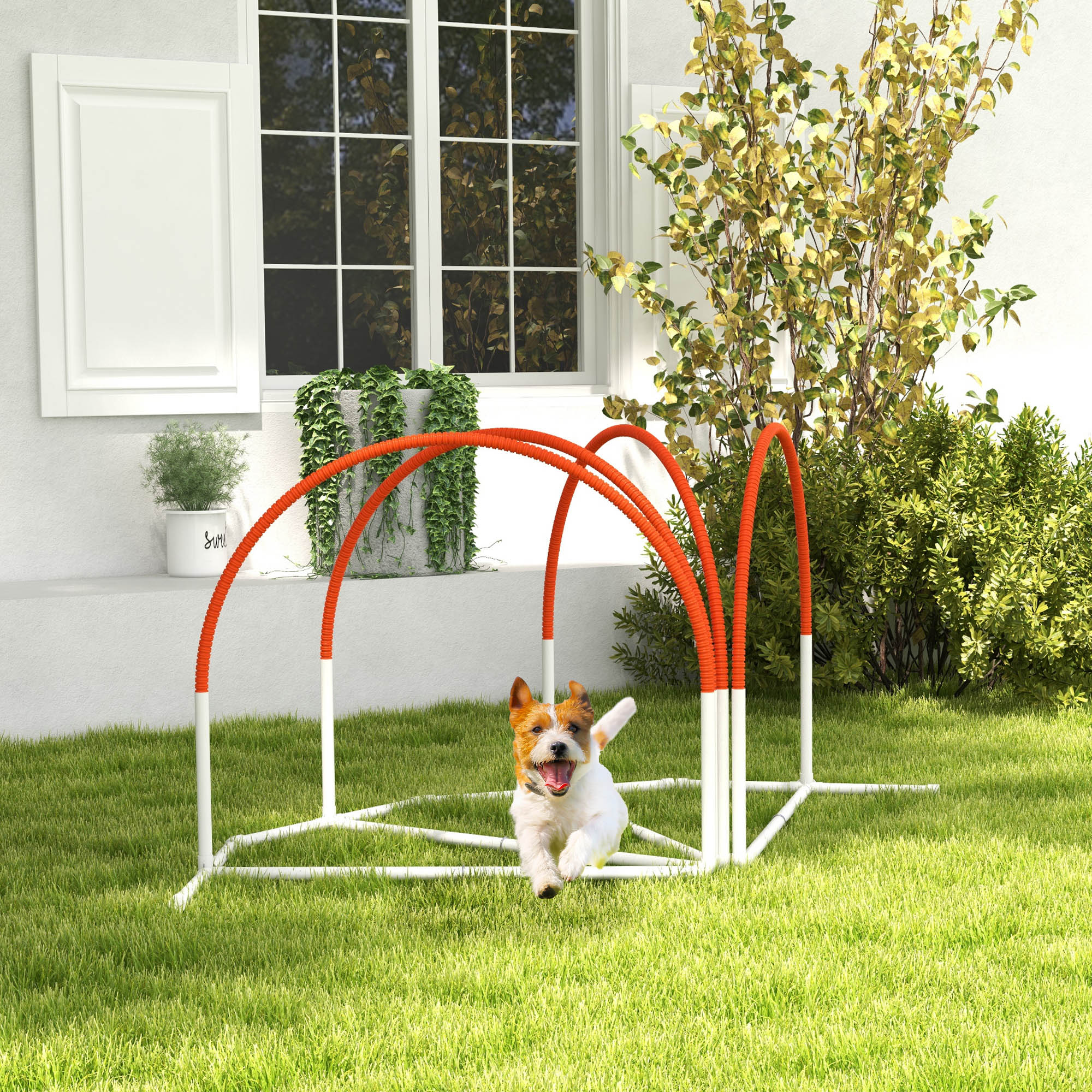 4 PCS Dog Agility Weave Poles Set Outdoor Training Equipment With Oxford Carry Bag Orange photo 1