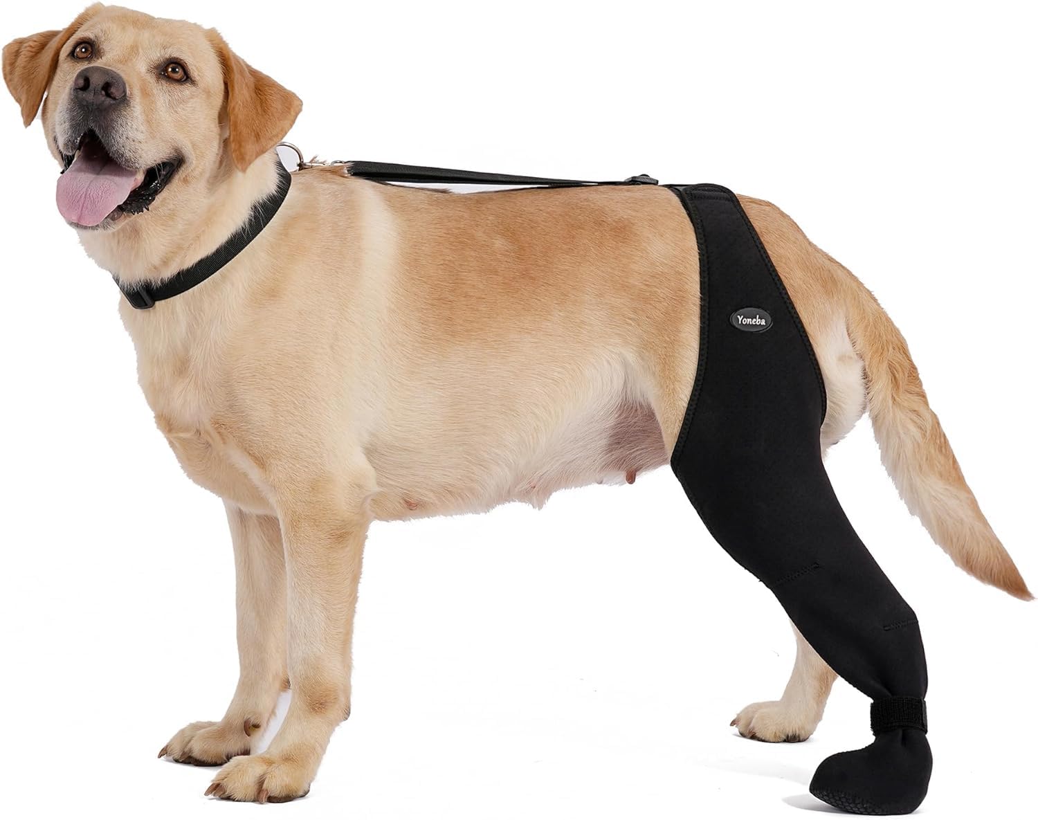 Dog Socks To Prevent Licking Paws , Breathable Leg Sleeve To Stop Licking And Biting,  Firm And Secure Adjustable Size Dog Recovery Sleeve Socks photo 1