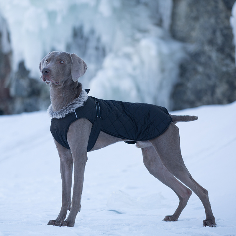 Pet Clothing Cotton Coats Wholesale, Winter Heavy-duty Jackets For Large Dogs photo 1