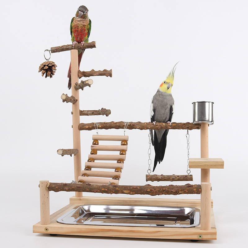 Sichuan Pepper Parrot Climbing Training Platform photo 1