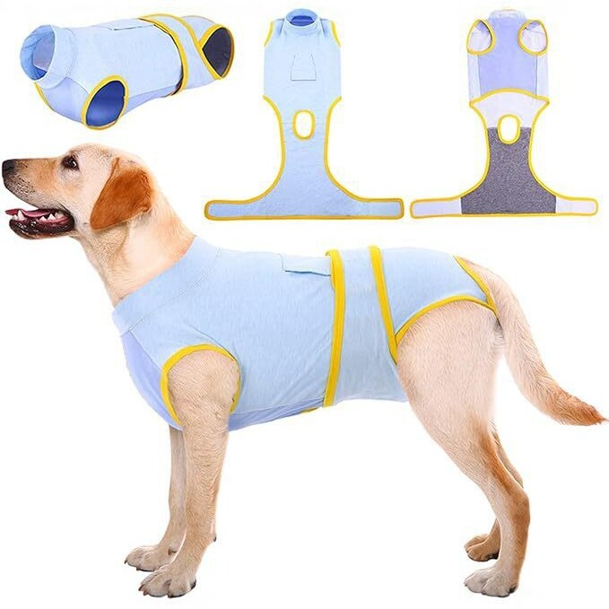 Postoperative Dog Clothing For Medium- To Large-sized Dogs photo 2