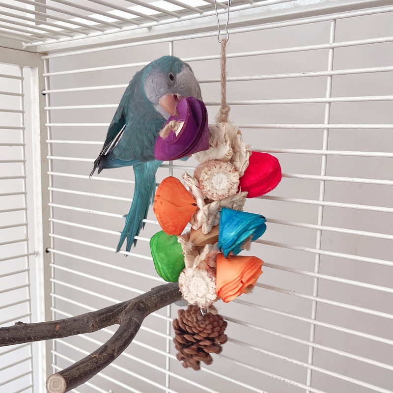 Natural Material Parrot Toy Birdcage Pendant photo 1