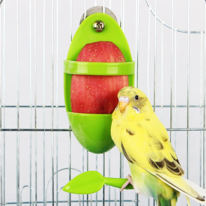 Parrot Food Rack Bird Cuttlefish Skeleton Food Box photo 6