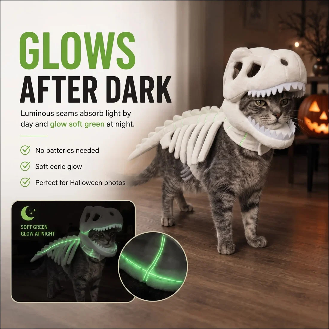 Dinosaur Skeleton Pet Costume photo 1