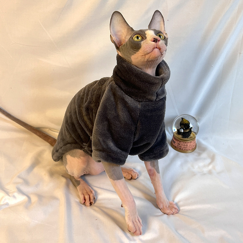 Thickened Clothing For Hairless Cats photo 5