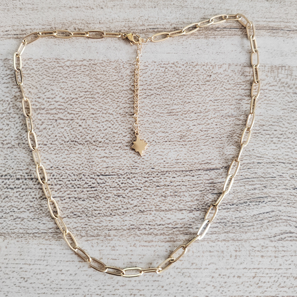 Paperclip Chain Oval Flat-wire Necklace photo 5