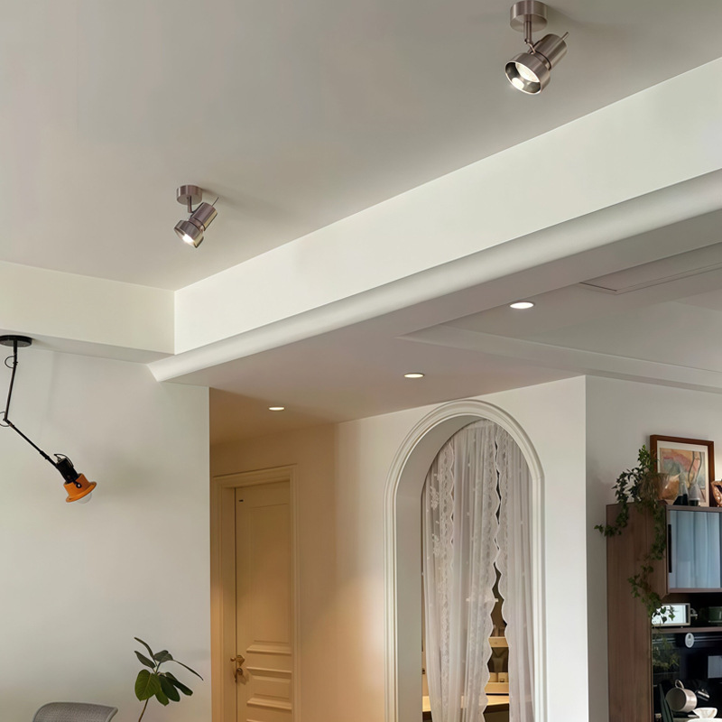 Stainless Steel Full-spectrum Adjustable-angle Spotlight photo 8