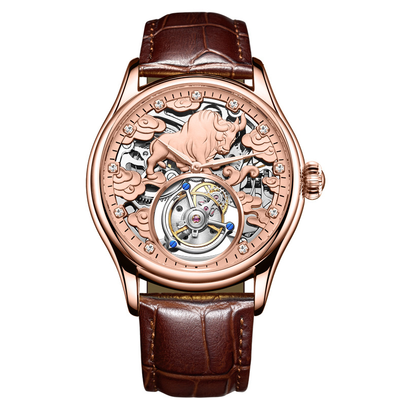 Double-sided Gemstone Glass Mechanical Watch photo 4