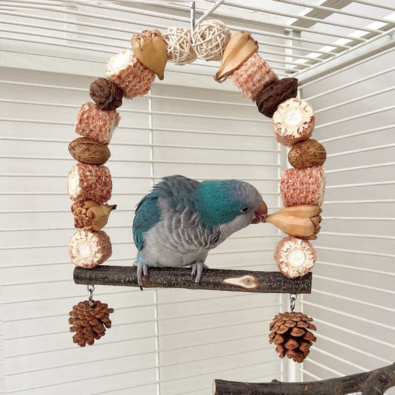 Wooden Parrot Swing Natural Log Bird Stand Pole Perched Wooden Mountain Parrot Toys photo 4
