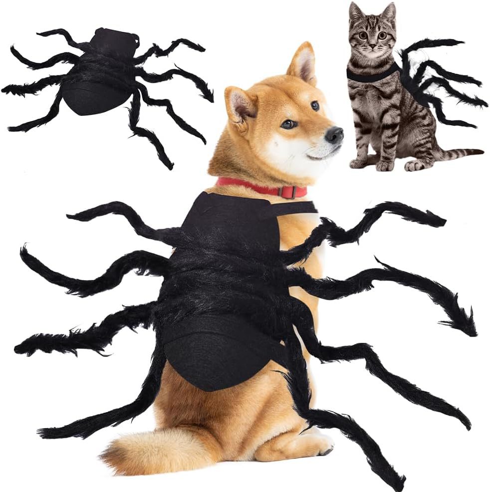 Halloween Pet Spider Costume American Style photo 2