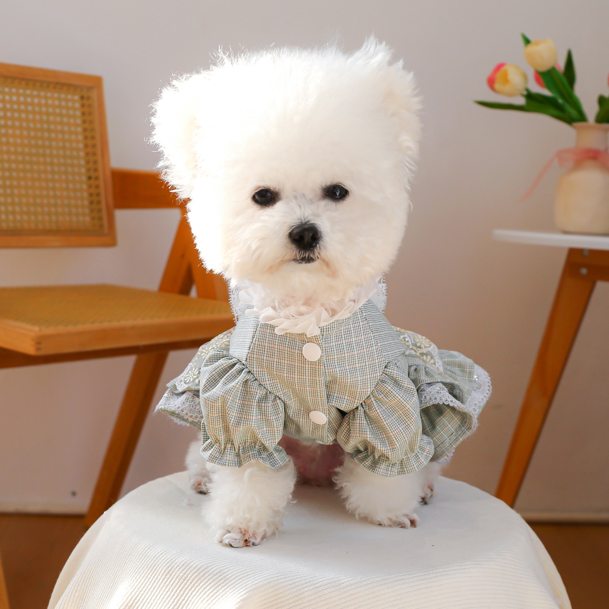 Court-style Cute Small Dog Lace Skirt photo 3