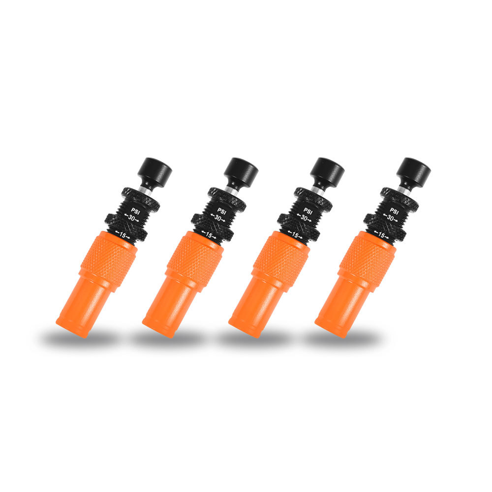 Automatic Tire Pressure Relief Valve photo 2