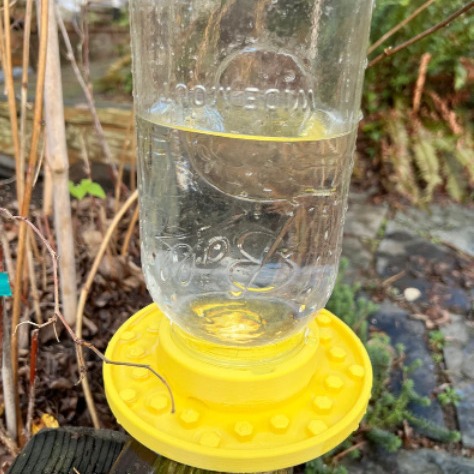 Hummingbird Bee Feeding Bird Feeder photo 8