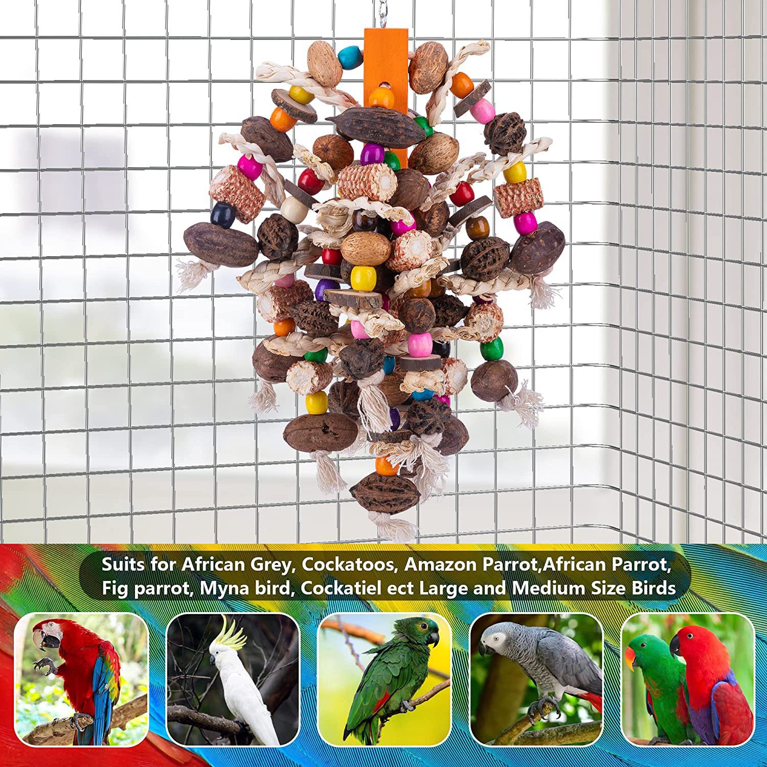 Large Parrots Nibbling On Toy Fruit Skewers photo 4