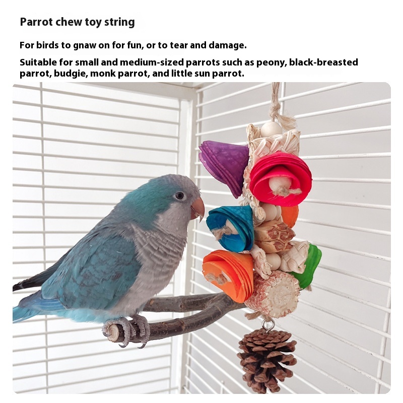Natural Material Parrot Toy Birdcage Pendant photo 2