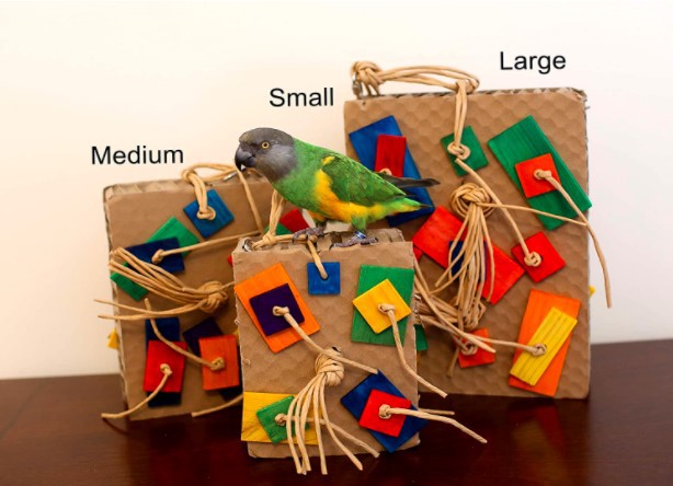 Parrot Colored Building Block Nibbling Toy photo 4