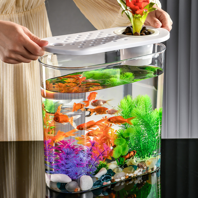 Acrylic Transparent Ecological Incubator Goldfish Tank photo 4