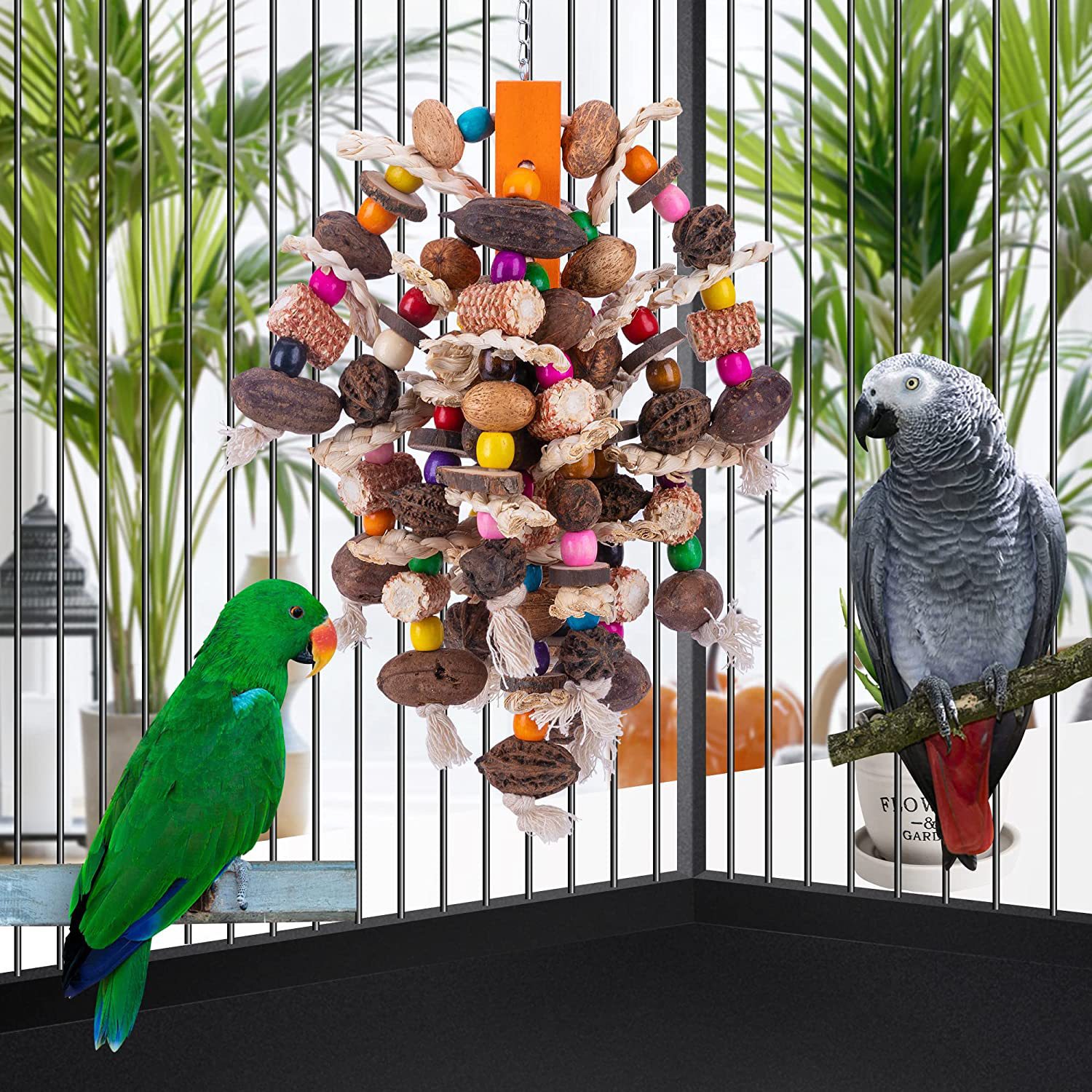 Large Parrots Nibbling On Toy Fruit Skewers photo 1