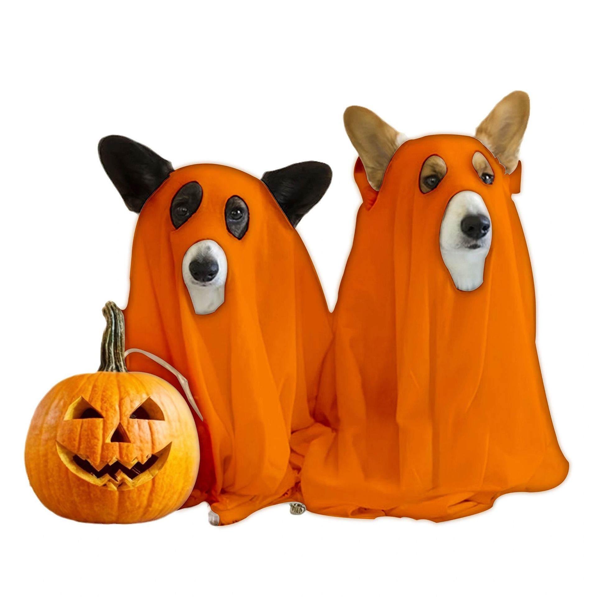 Halloween Ghost Costume Props and Decorations - Party Supplies for Holiday Festival Home Decoration photo 7