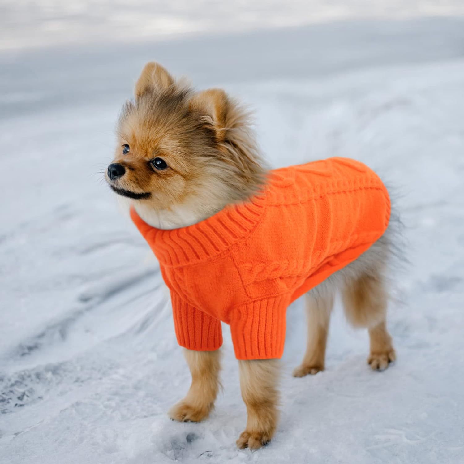 AutumnWinter Solid-Color Knitted Sweater Pet Apparel photo 1