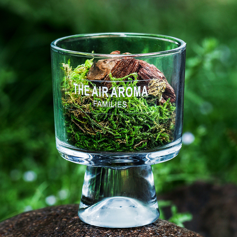 Pine Wood And Moss Fire-Free Aroma Diffuser Cup Ornament photo 5