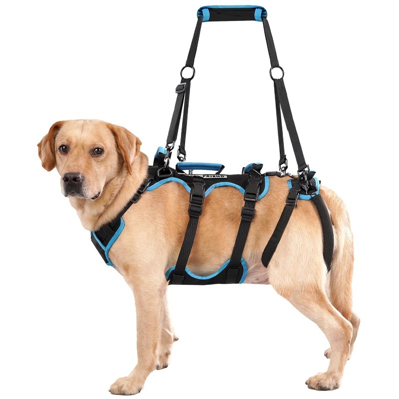 Walking Rehabilitation Training Aid For Senior Dogs Large-breed Dog Harness photo 6
