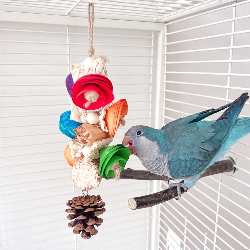 Natural Material Parrot Toy Birdcage Pendant photo 6