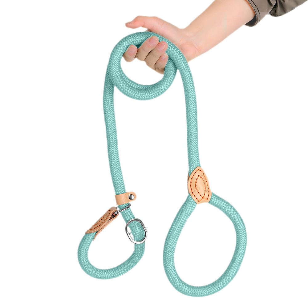 Extended And Thickened Pet Leash For Dogs photo 6