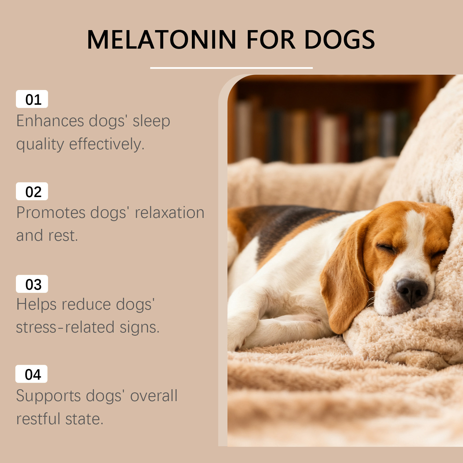 Gentle Everyday Ingredients To Care For Your Dog photo 2