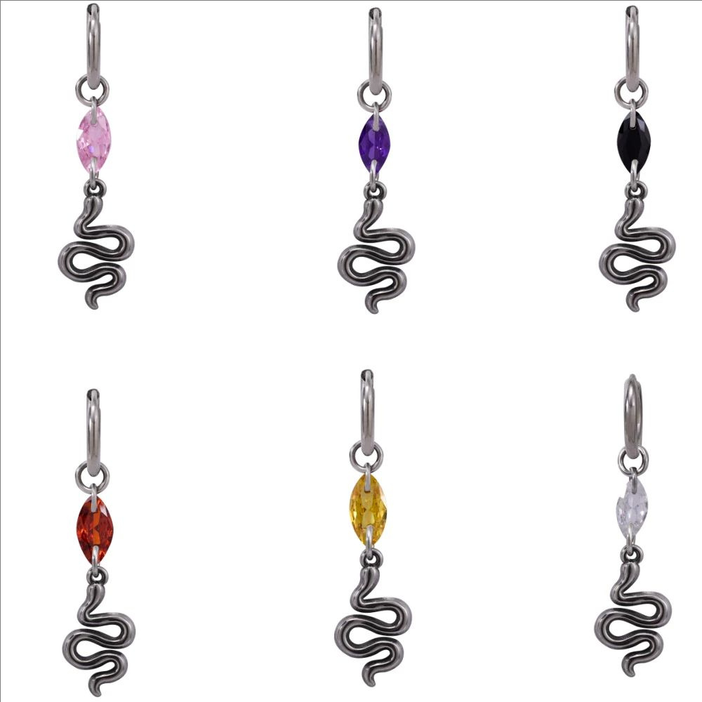 Serpentine Hip-hop Titanium Steel Earrings photo 6