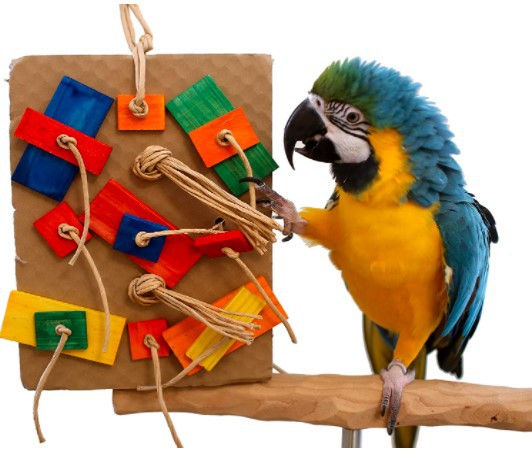 Parrot Colored Building Block Nibbling Toy photo 8