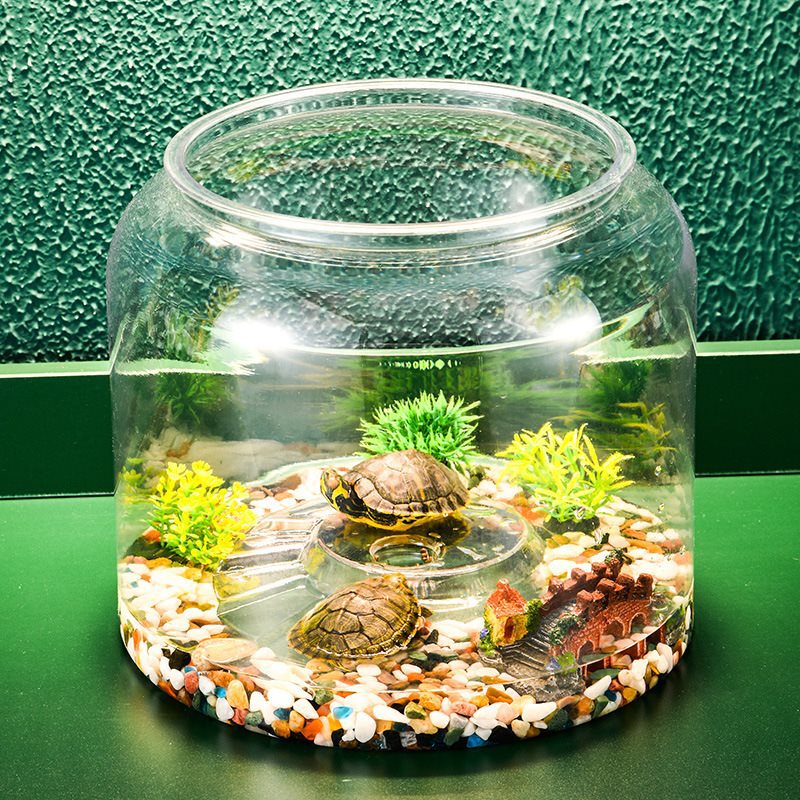 Transparent Plastic Ecological Desktop Landscaping Feeding Fish Tank photo 4