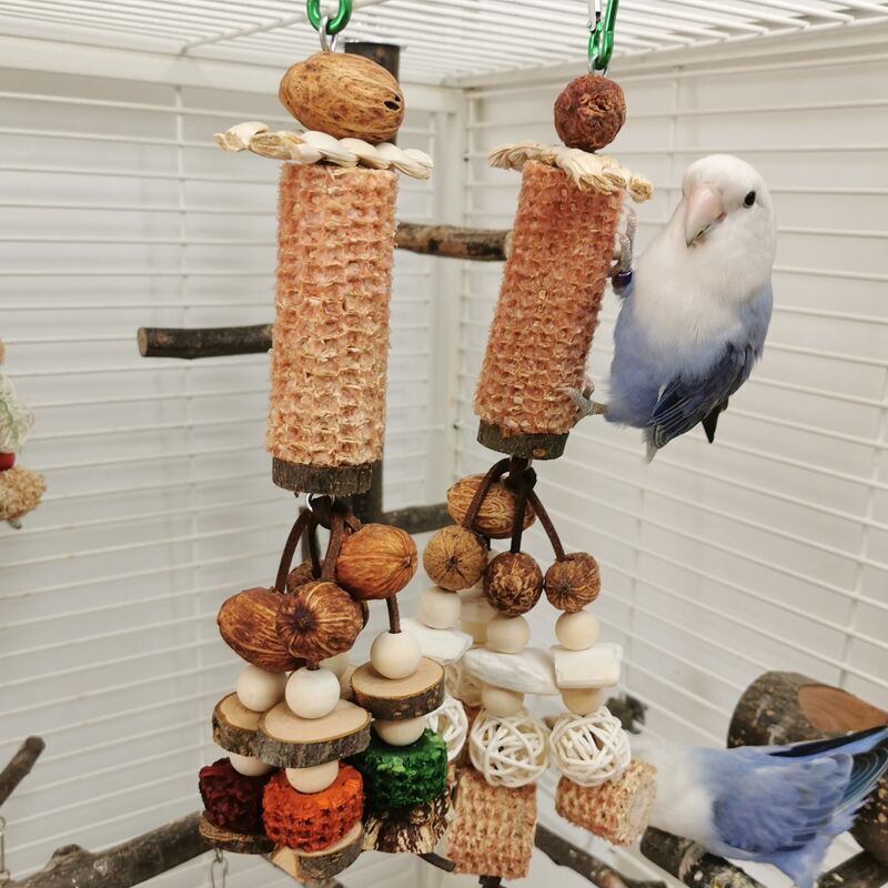 Peony Parrot Bite Cuttlebone Carambola Corncob Vine Bal String Toy Combination photo 3