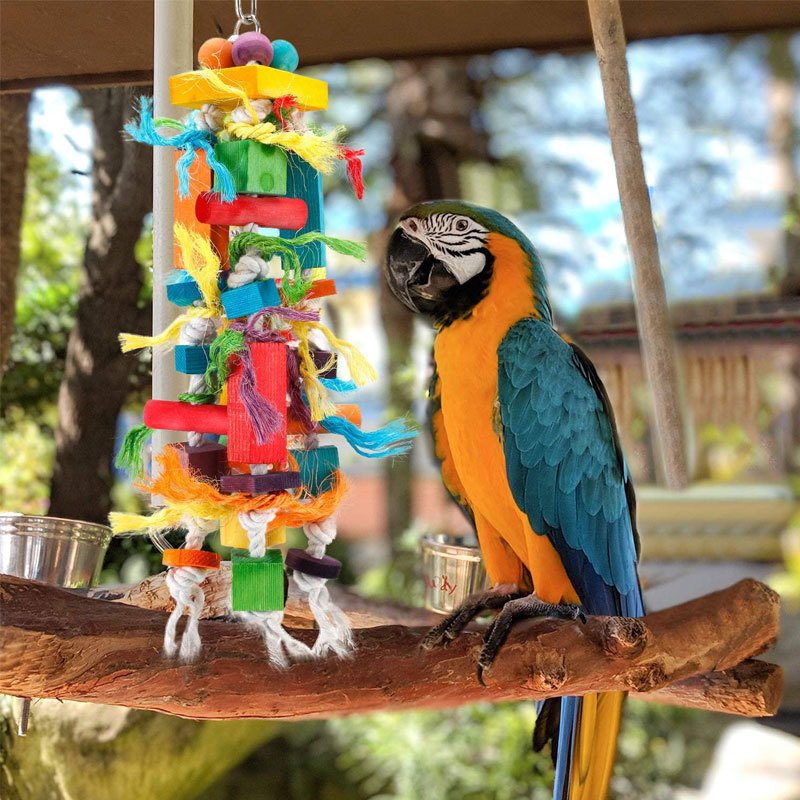 Wooden Color Nibbling Toy Medium And Large Parrot Bird photo 2