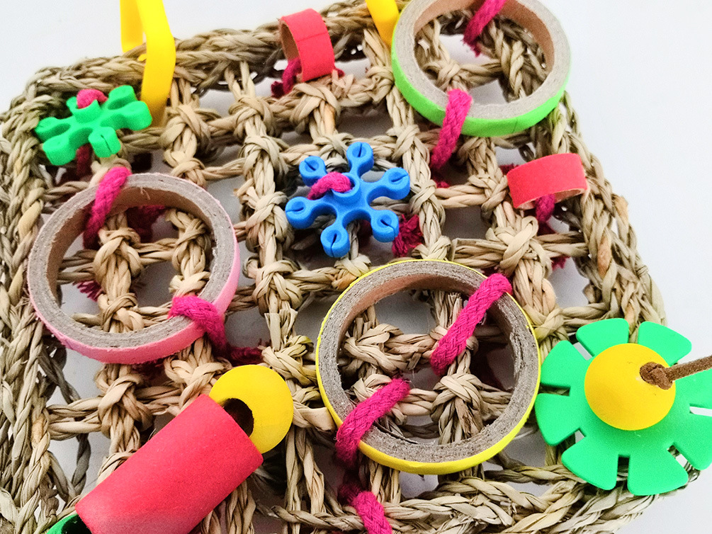 Parrot Bite Color Building Blocks Toy photo 4
