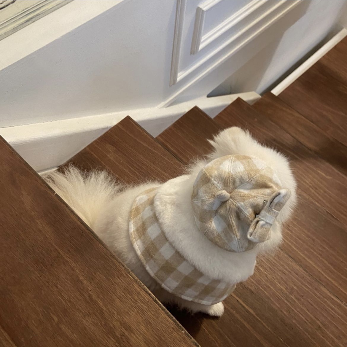 Korean Plaid Pet Cape Scarf And Hat Set photo 4
