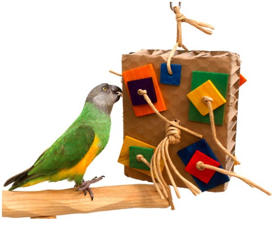 Parrot Colored Building Block Nibbling Toy photo 5