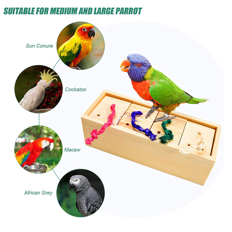 Parrot Toy Bird Supplies Supplies Puzzle Training photo 3