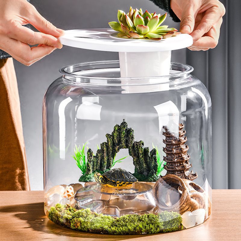 Transparent Plastic Ecological Desktop Landscaping Feeding Fish Tank photo 5