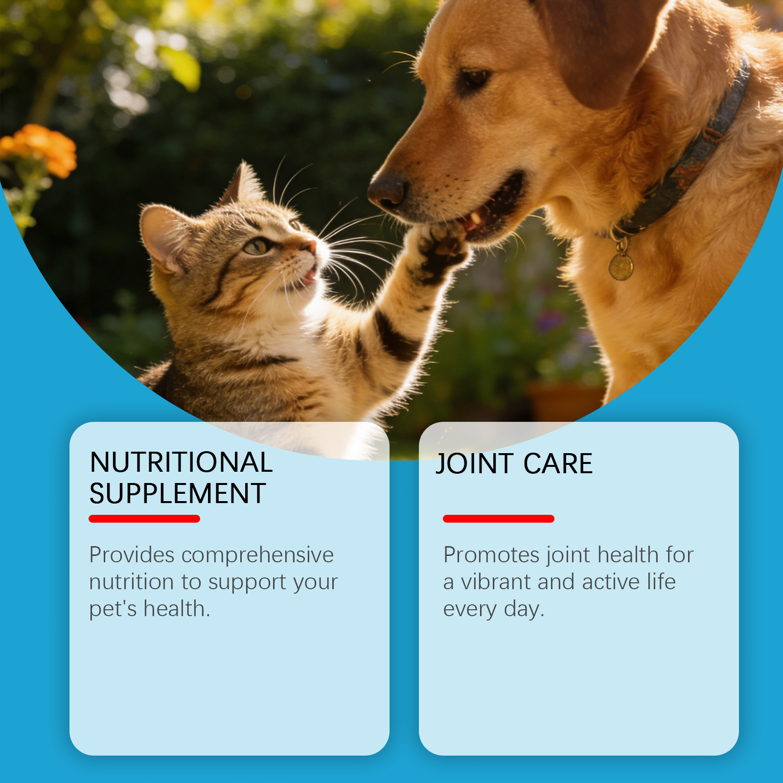 Pet Body Home Care Supplements For Cats And Dogs photo 5