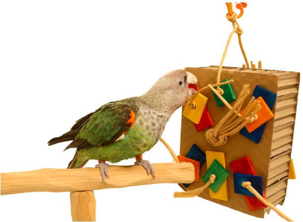 Parrot Colored Building Block Nibbling Toy photo 3