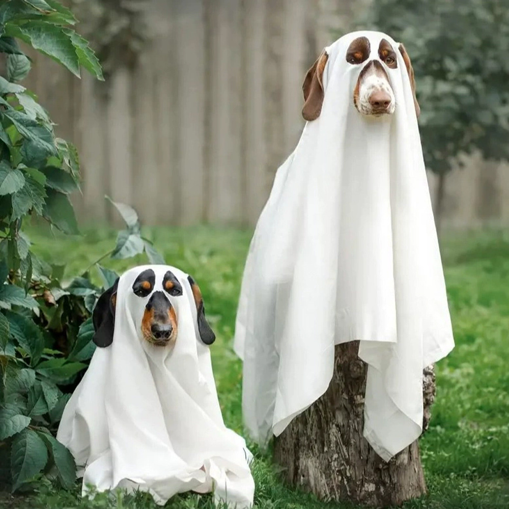 Halloween Ghost Costume Props and Decorations - Party Supplies for Holiday Festival Home Decoration photo 1
