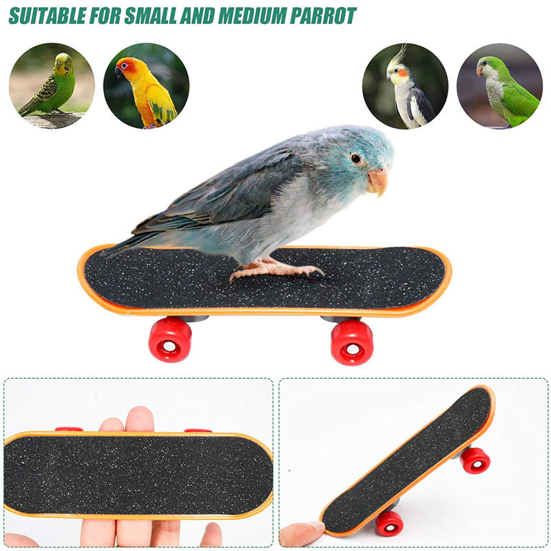 Parrot Toy Bird Supplies Supplies Puzzle Training photo 6