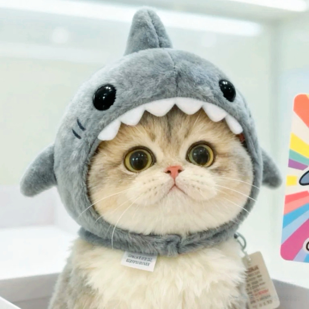 Warm Pet Cat Shark Headgear photo 2