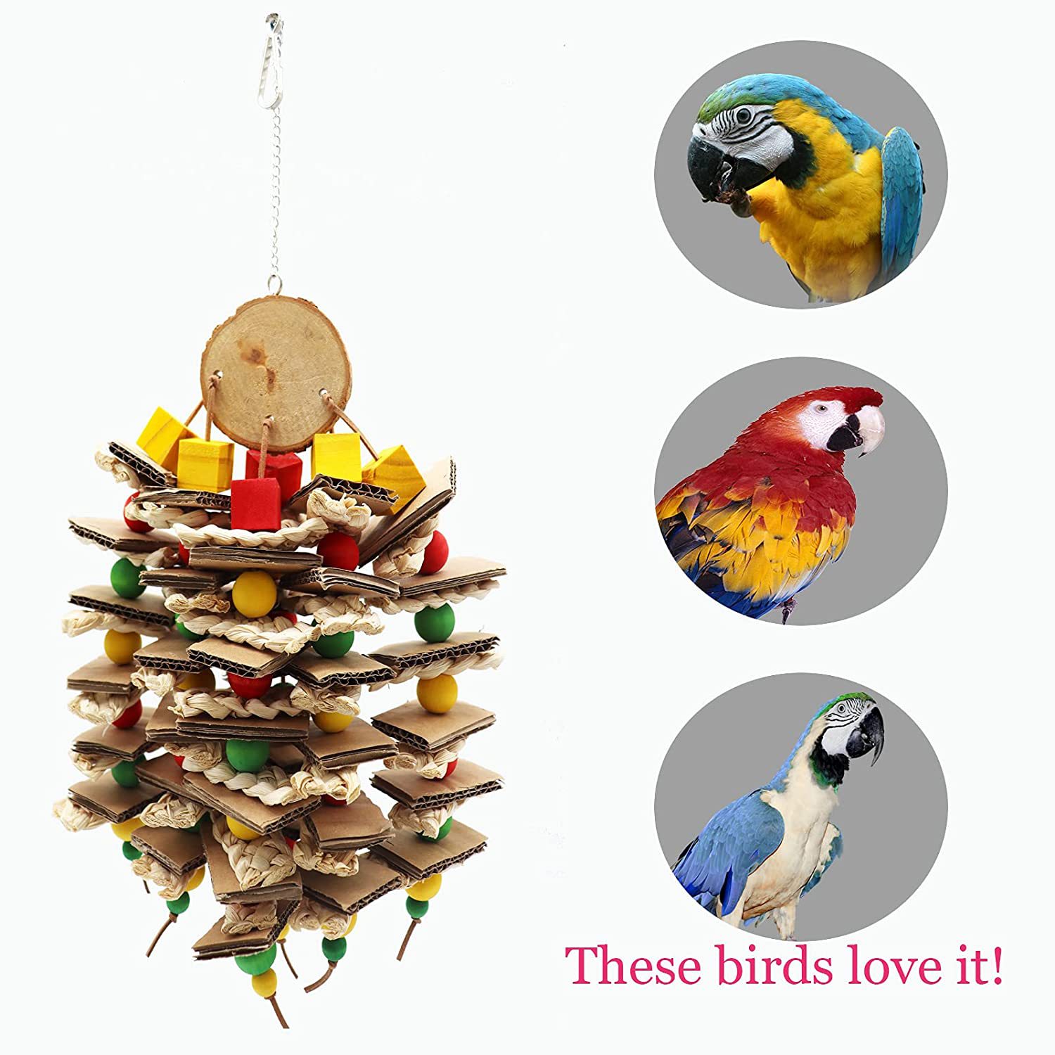 Parrot Logs Gnawing On Corn Husks And Skewers photo 6