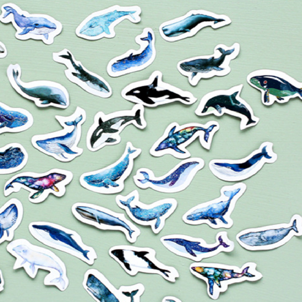 Box-packed Stickers Whale Tent Sticker Decorative Sealing Stickers photo 1