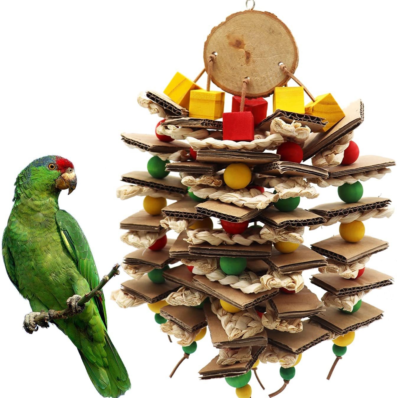 Parrot Logs Gnawing On Corn Husks And Skewers photo 1