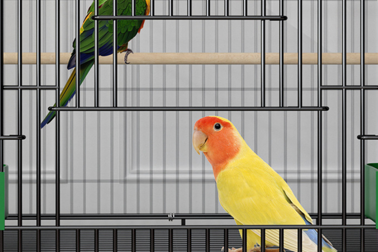 Home Fashion Personality Double Layer New Bird Cage photo 7