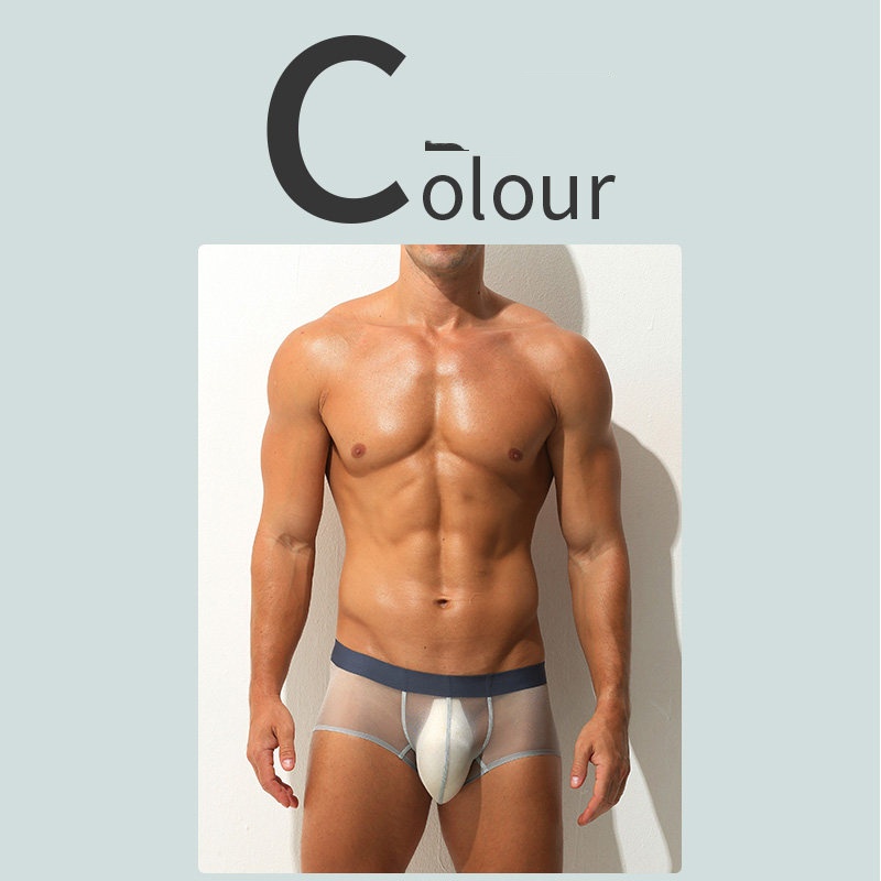 Boxer Briefs Ultra-thin Sheer Ice-silk Low-rise Sexy photo 4