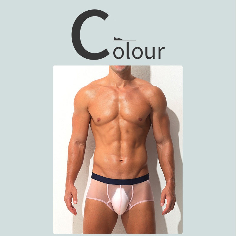 Boxer Briefs Ultra-thin Sheer Ice-silk Low-rise Sexy photo 6